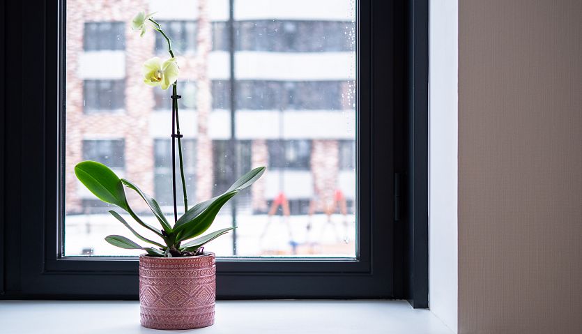 Бюджетный ремонт в новостройке для молодой семьи